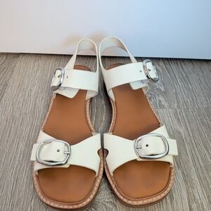 Everlane The Twin Buckle Sandal